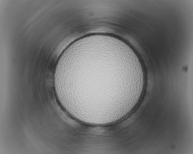 X0000112501329200909071236