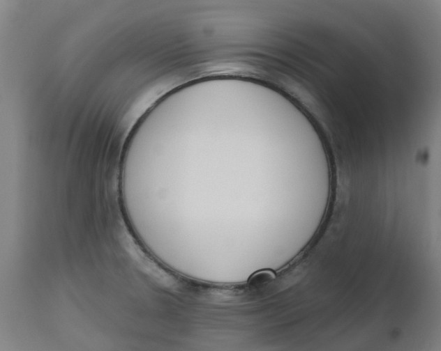 X0000112501330200909071236