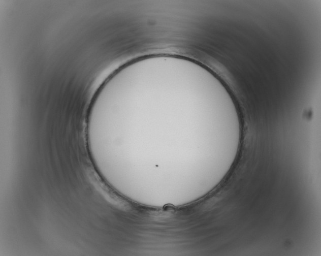 X0000112501332200909071236