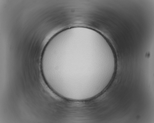 X0000112501333200909071236