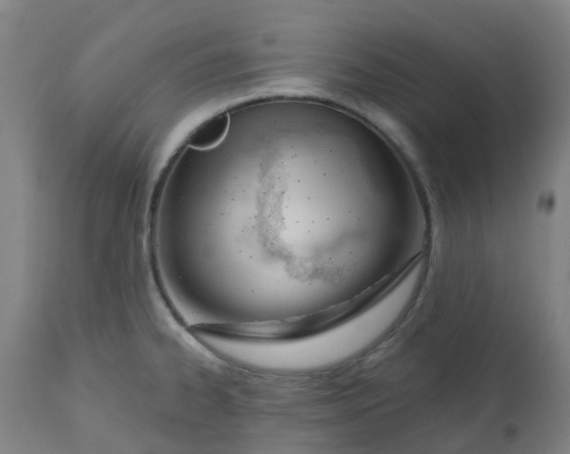 X0000112501334200909071236