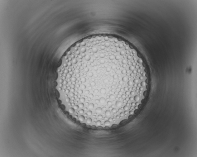 X0000112501337200909071236