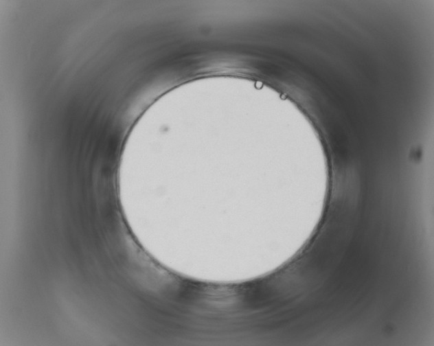 X0000112501338200909071236