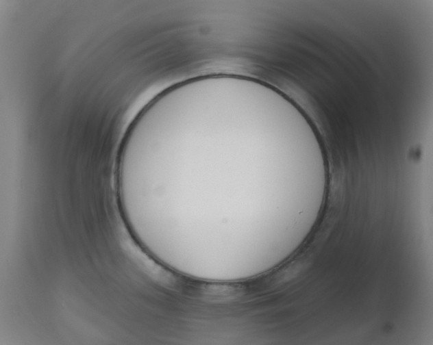 X0000112501339200909071236