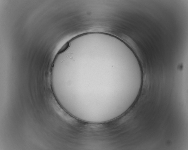 X0000112501340200909071236