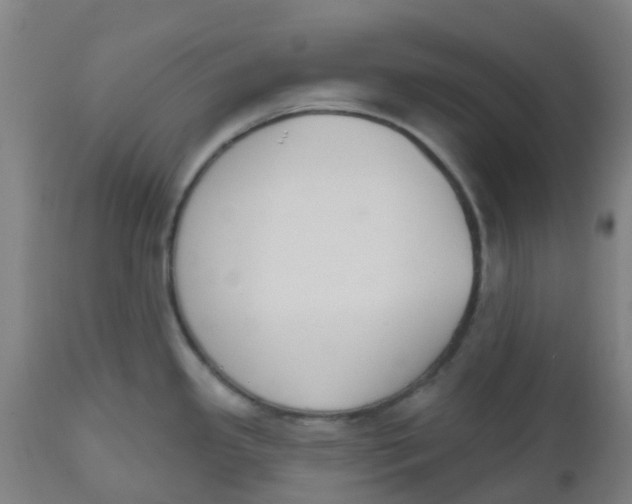 X0000112501341200909071236