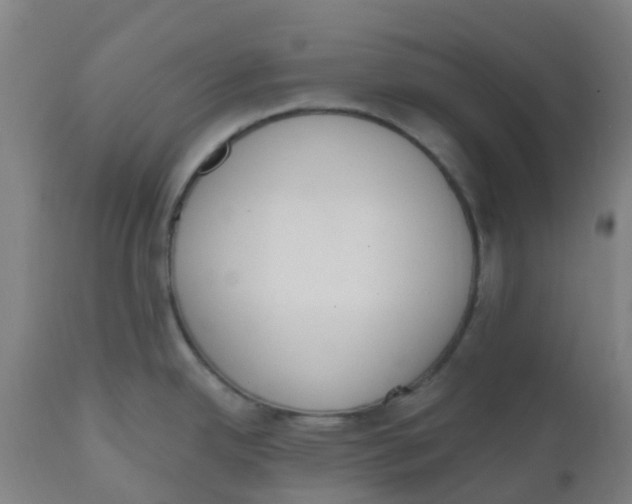 X0000112501342200909071236