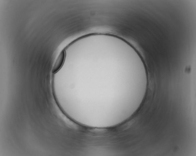 X0000112501343200909071236