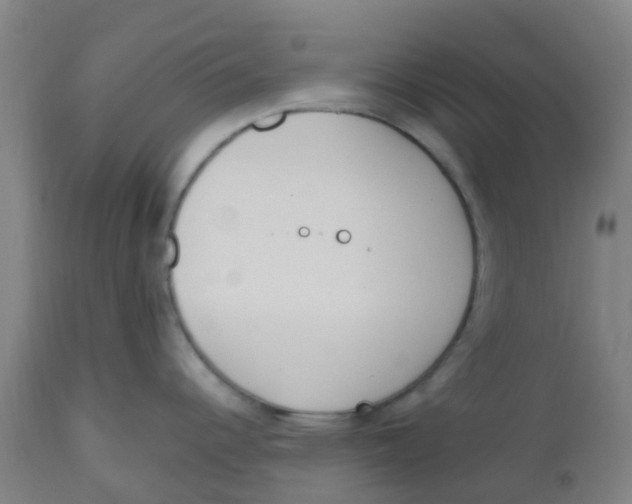 X0000112501344200909071236