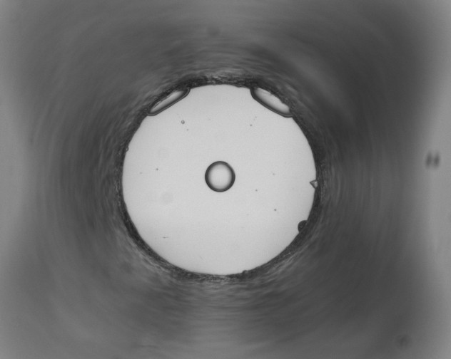 X0000112501345200909071235