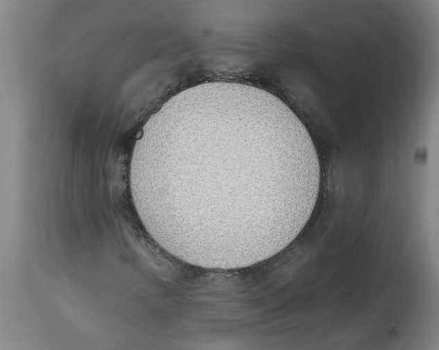 X0000112501346200909071235