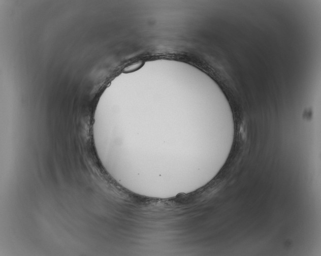 X0000112501348200909071235