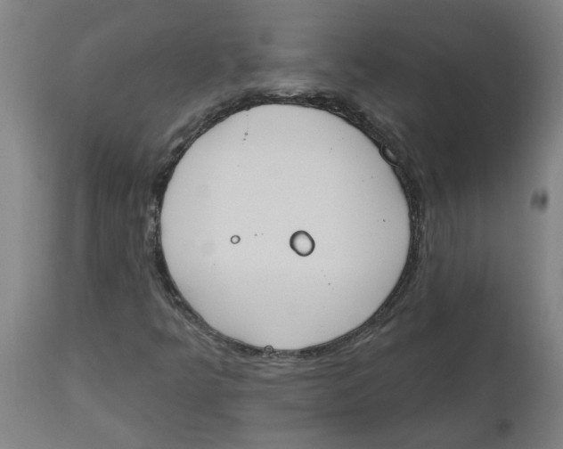 X0000112501349200909071235