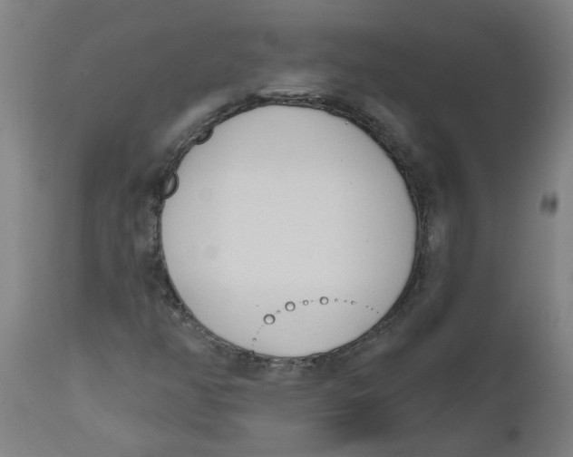 X0000112501350200909071235