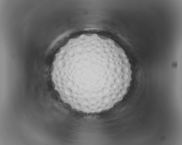 X0000112501351200909071235