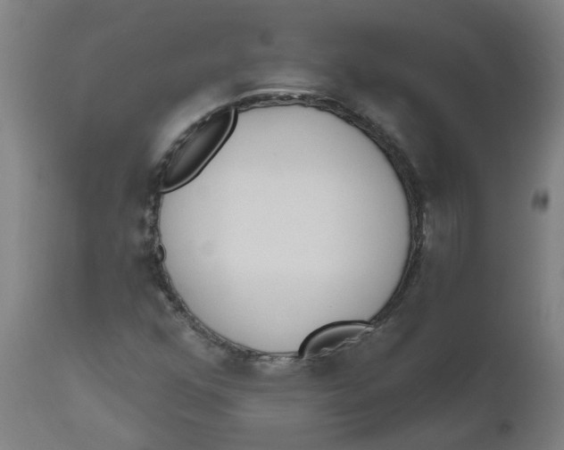 X0000112501352200909071235