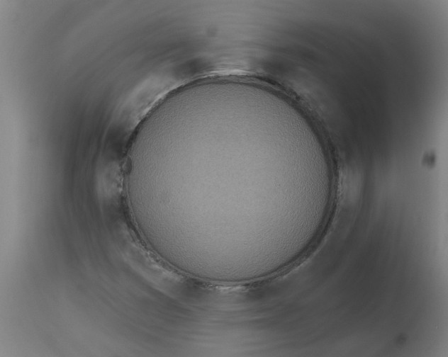 X0000112501353200909071235