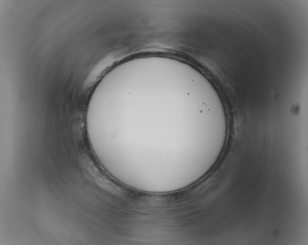 X0000112501355200909071235