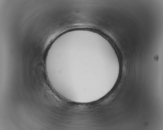 X0000112501357200909071235