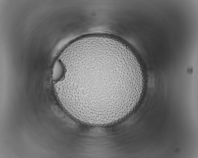 X0000112501358200909071235