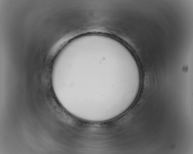 X0000112501359200909071235