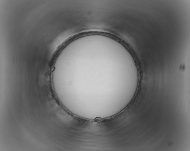 X0000112501360200909071235