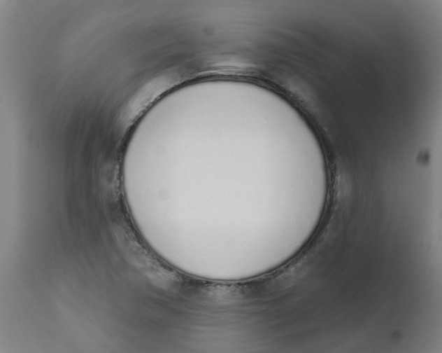 X0000112501362200909071235