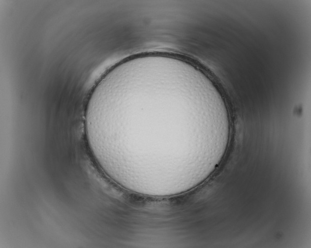 X0000112501363200909071235