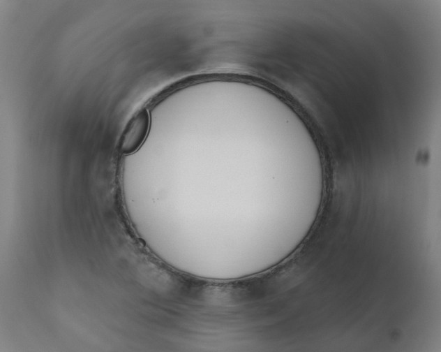 X0000112501364200909071235