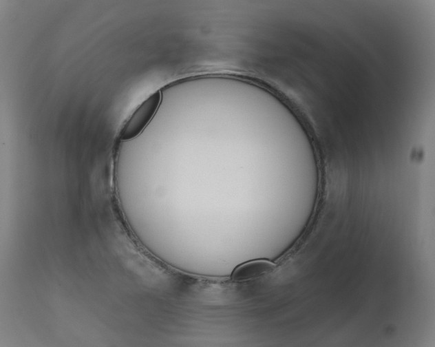 X0000112501365200909071235