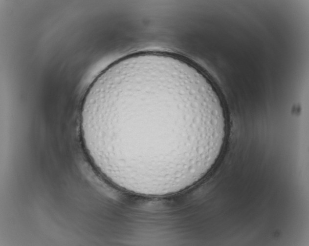 X0000112501367200909071235