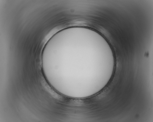 X0000112501370200909071234