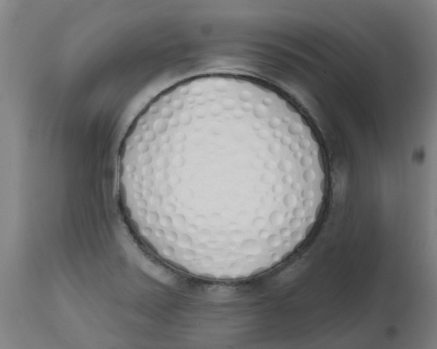 X0000112501371200909071234