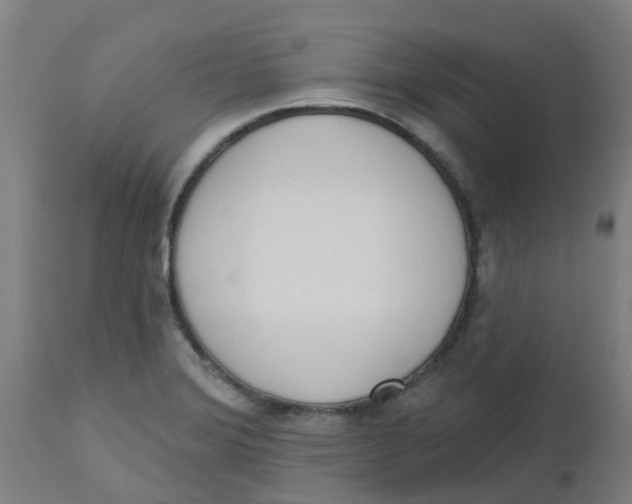 X0000112501372200909071234