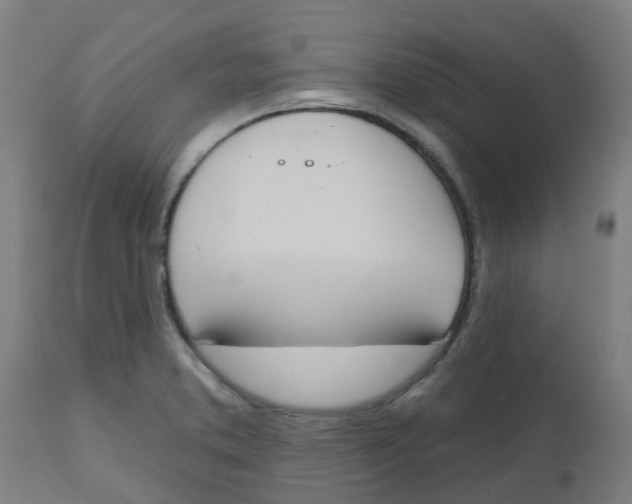 X0000112501373200909071234