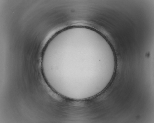 X0000112501376200909071234