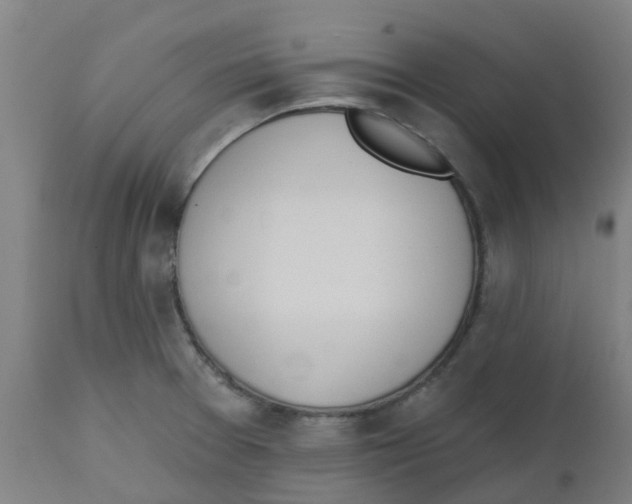 X0000112501377200909071234