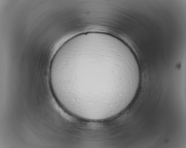 X0000112501379200909071234