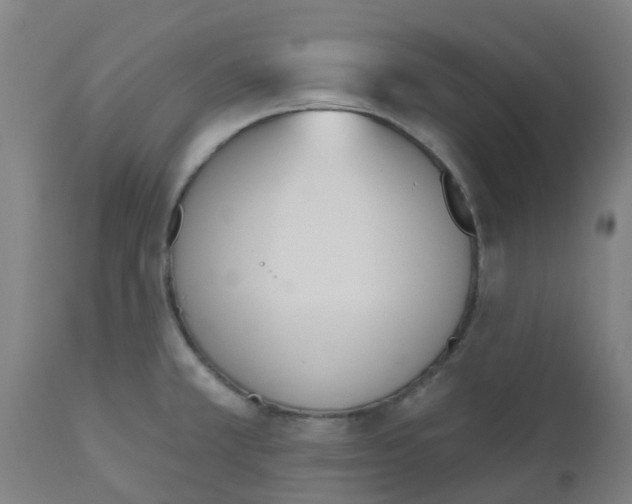 X0000112501381200909071234