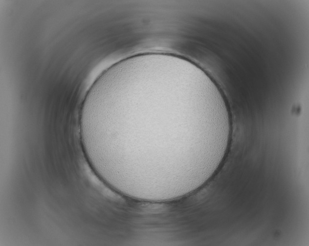 X0000112501382200909071234