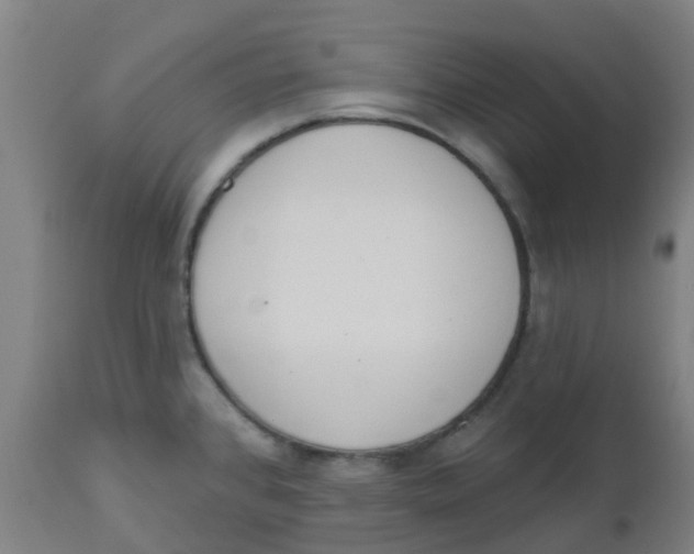 X0000112501384200909071234