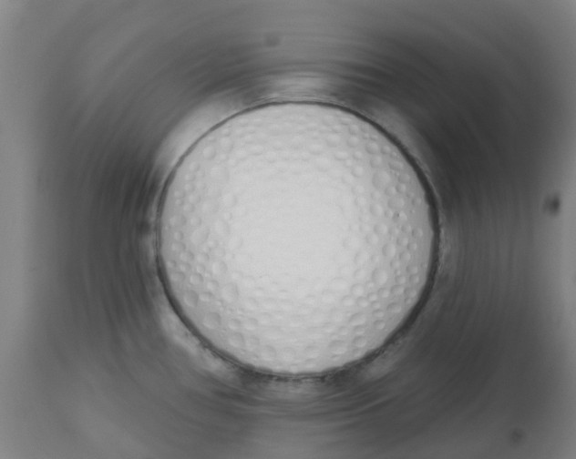 X0000112501386200909071234