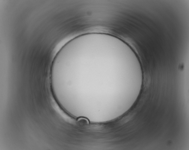 X0000112501387200909071234