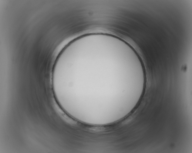 X0000112501388200909071234