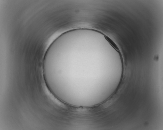 X0000112501389200909071234