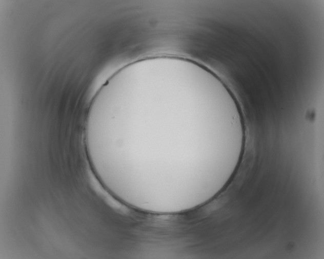 X0000112501390200909071234