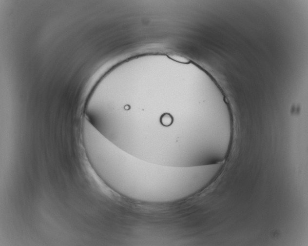 X0000112501392200909071234