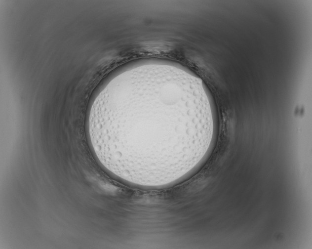 X0000112501393200909071234