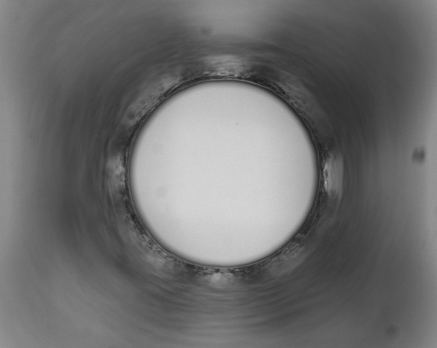 X0000112501395200909071234