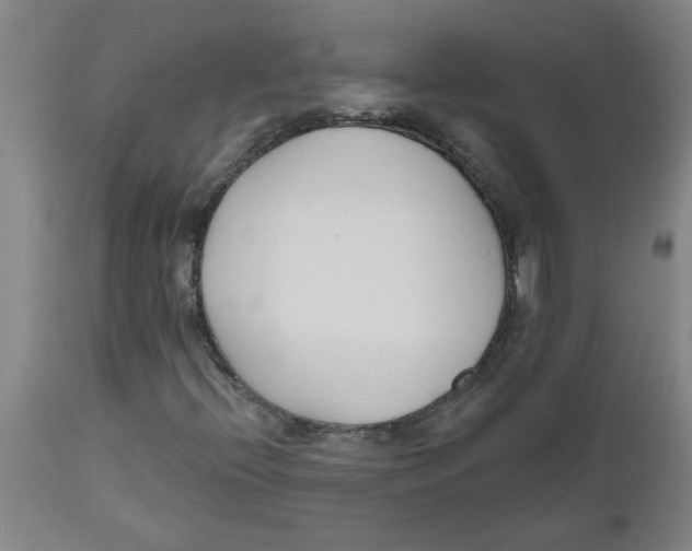 X0000112501396200909071234